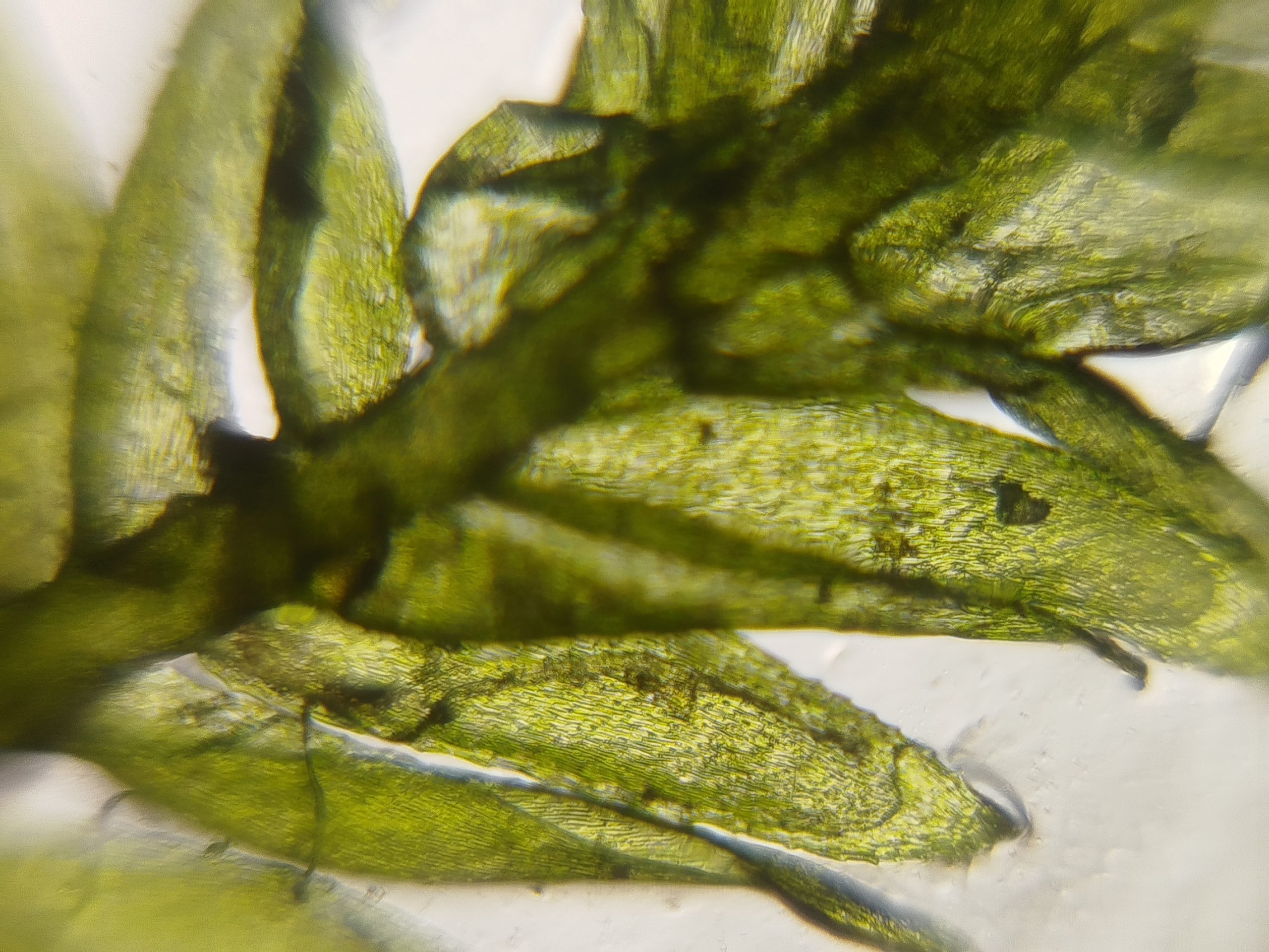 d ảnh được sử dụng trong bài viết