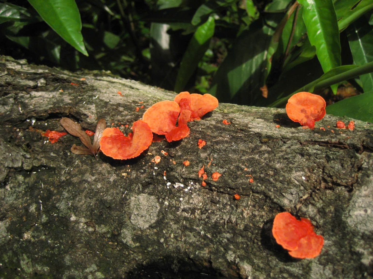 527026623 1349661610496896 2370152782395623816 n