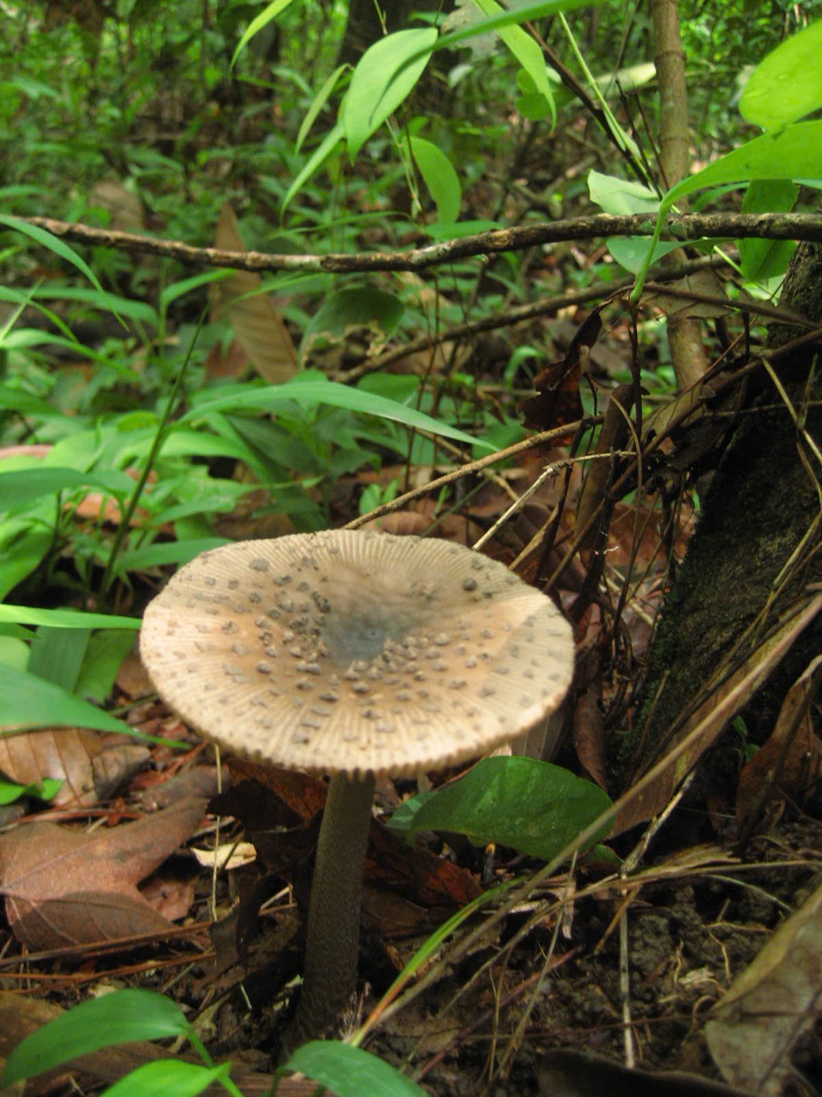 526983675 1349662330496824 4246926645592993627 n